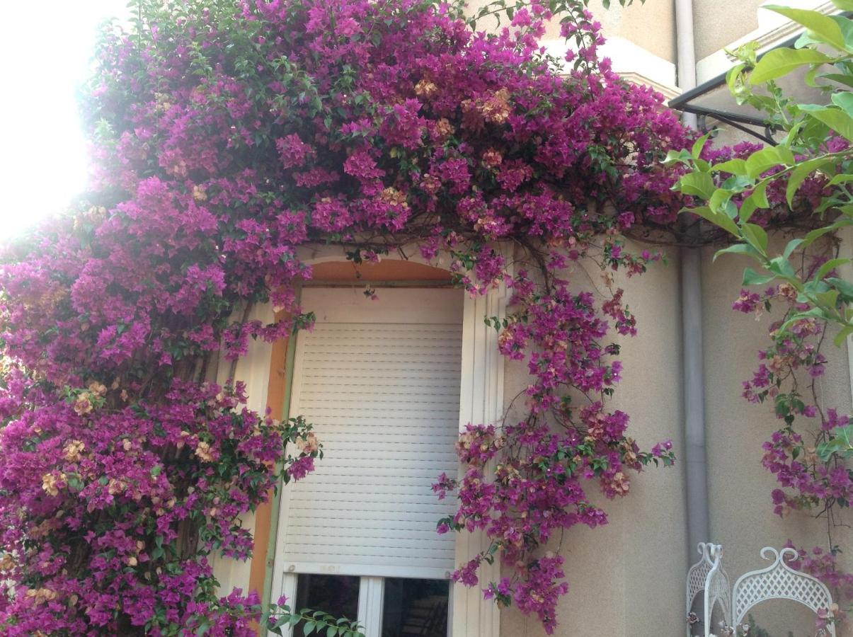 A L'Ombre Du Cedre Hotel Hyeres Exterior photo
