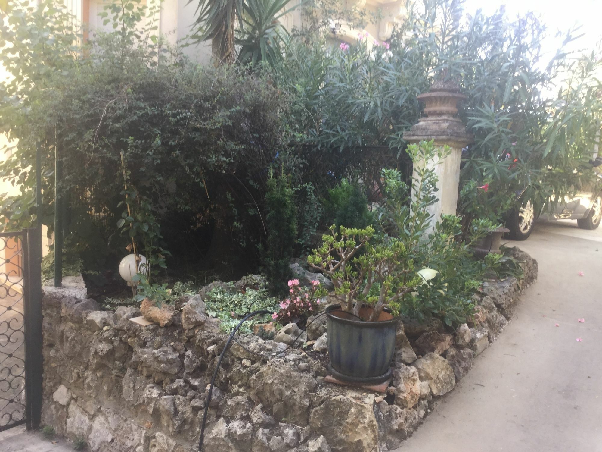 A L'Ombre Du Cedre Hotel Hyeres Exterior photo
